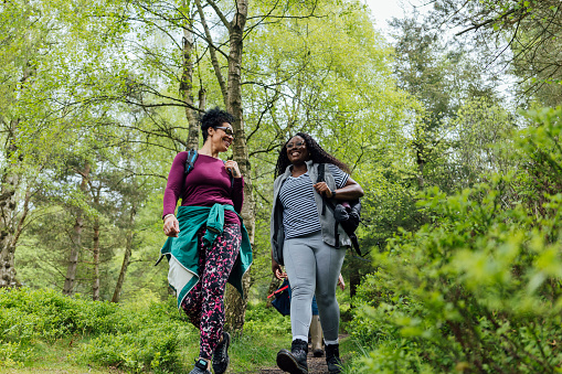 A full-length low-angle shot of friends hiking together in the countryside of Northumberland, North East England. They are walking through a wooded area and are surrounded by lush green foliage. They are smiling and talking as they walk, wearing casual clothing and backpacks. The tree canopy is visible.