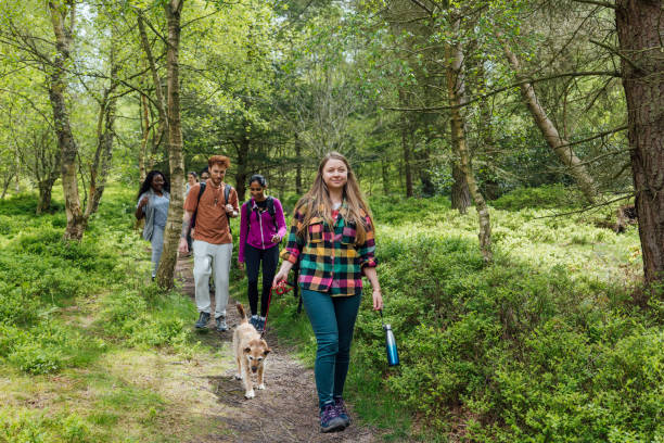 istock Peaceful Walks in the Woods 1992332796