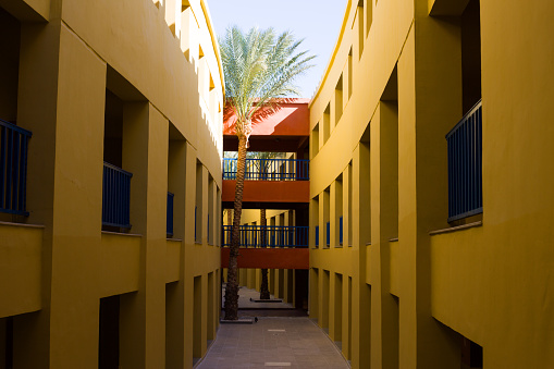 Long hotel corridors with a bridge on each floor for passage with a palm tree in the courtyard. Eco friendly house with many rooms and space for walking