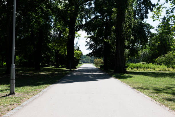 istock Asphalt road in Margaret Island, Budapest 1992342526