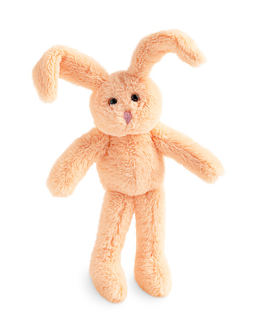 Single fluffy soft teddy bunny with black eyes and long ears of brown or beige colour standing on pads isolated on white background used as gift on holidays celebration for children