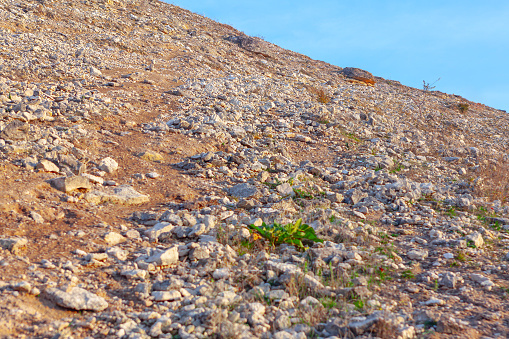 Rocky hillside with green grass and blue sky in the background