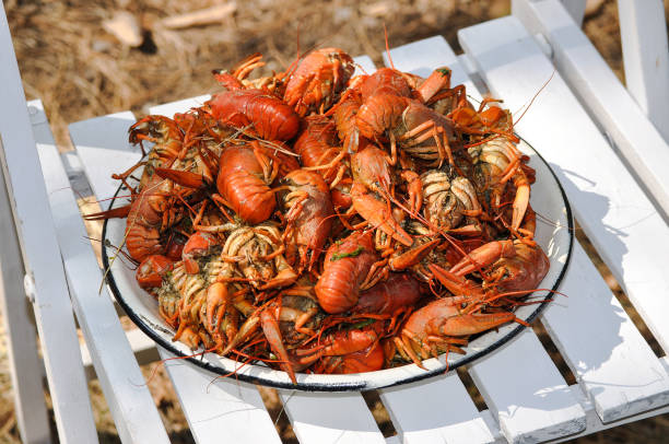 Cooking river crayfish, or crawfish, at home on a traditional recipe. A lot of red, freshwater lobsters boiling in a big bowl on hob. Preparing delicious, non gmo, organic food in house conditions