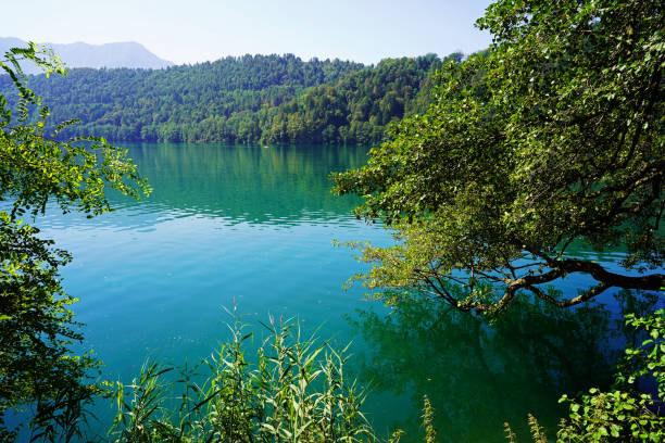 istock Levico lake in summer 1992382967