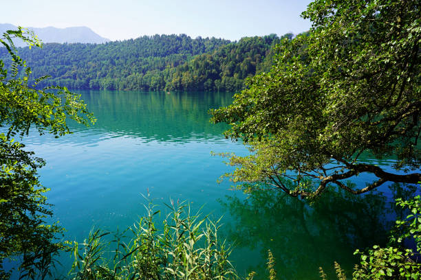 Levico lake in summer stock photo