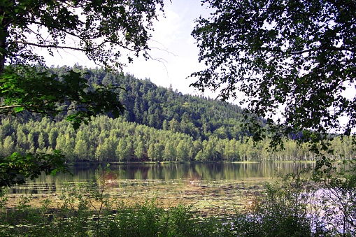 Sunset over lake in forest surroundings