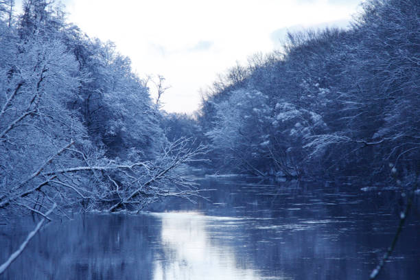 Frosty lake in Sweden