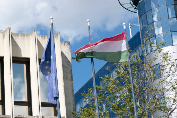 istock Hungarian and european union flag 1992393158