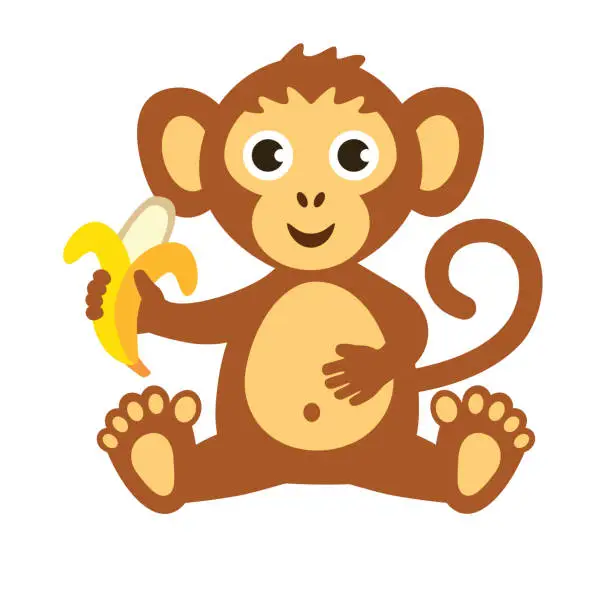 Vector illustration of Monkey, isolated vector illustration. Monkey with banana, cartoon, cut out. Cute drawing for children, clipping path.