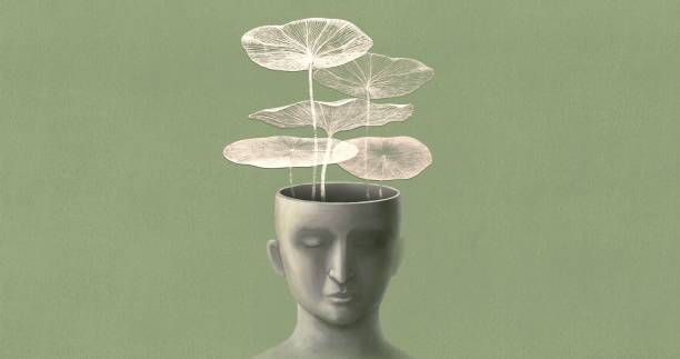 Untitled Artwork Lotus leaf in the human head. people and nature concept art. painting illustration. mindfulness stock illustrations