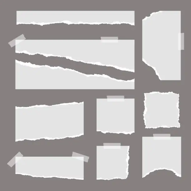 Vector illustration of set of blank torn paper vector element, ripped paper illustration