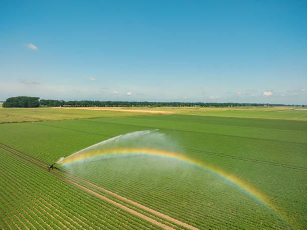 istock Irrigation pivot gun machinespraying water on a field 1992449876