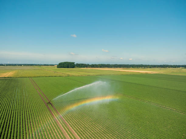 istock Irrigation pivot gun machinespraying water on a field 1992451449