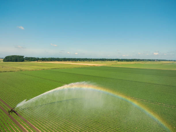 istock Irrigation pivot gun machinespraying water on a field 1992451970