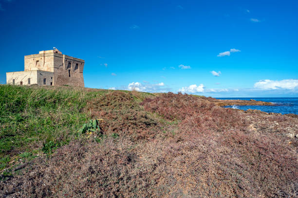 Carovigno, Brindisi district, Puglia, Italy, Torre Guaceto Marine Reserve