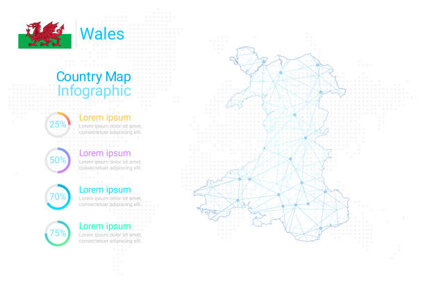 ilustrações de stock, clip art, desenhos animados e ícones de wales map vector template with polygon mesh line blue color on white background for education, website, banner, infographic - wales cardiff map welsh flag