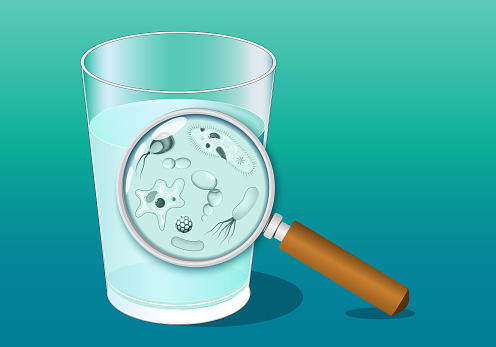 A glass of water and magnifying glass. Close-up of water microbe. Microbial contamination. Waterborne pathogens. Drinking water quality and safety before chlorination and filtration. Realistic vector illustration