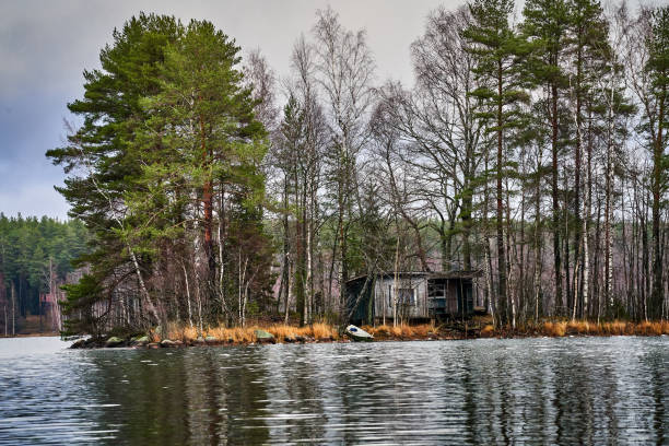 Solitary hut on the lakeside surrounded by dense trees