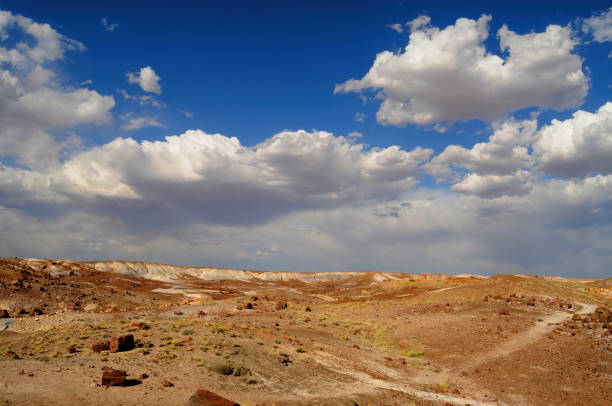 istock Rugged and Desolate Landscape Petrified Forest Arizona 1992536072