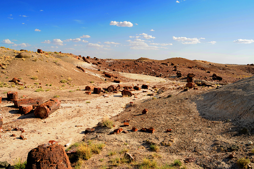 Rugged and Scenic landscape of the ancient petrified forest in Arizona
