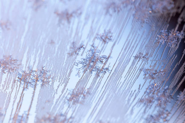 Frozen flowers on the glass in winter