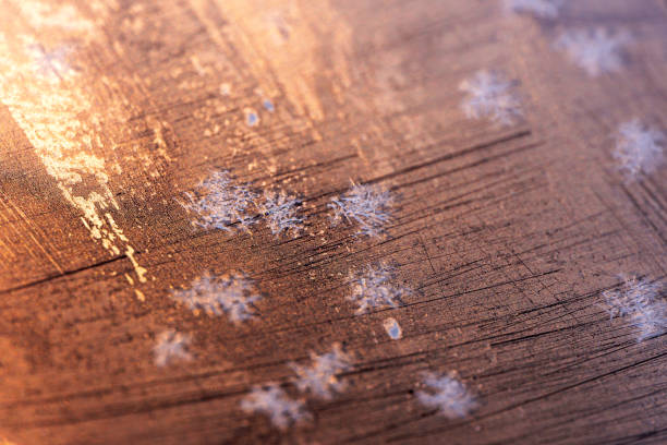 Frozen flowers on the glass in winter