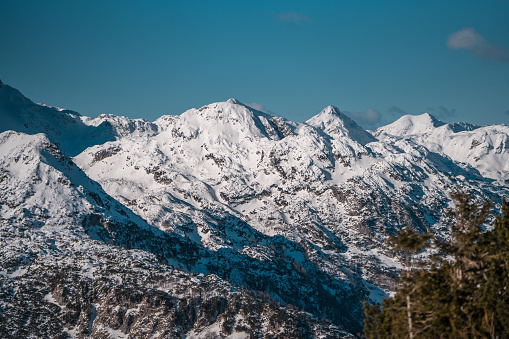 A panoramic view of rugged snow-capped mountains under a clear blue sky, with coniferous trees in the foreground.