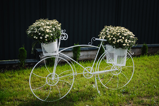 White bike in the garden with flowers in basket. Garden vintage decoration. Scenic view. Selective focus. White bicycle with decor. Part of the landscaping of the summer park.