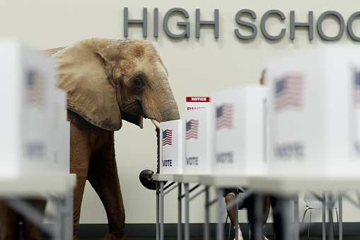 Republican inside a local high school polling center voting with other voters for the upcoming election.
