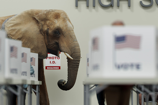 Republican inside a local high school polling center voting with other voters for the upcoming election.