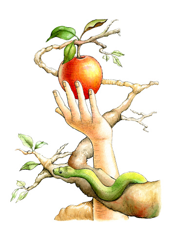 Eva picking up the forbidden fruit, while the snake watches her from a branch. Traditional illustration on paper.