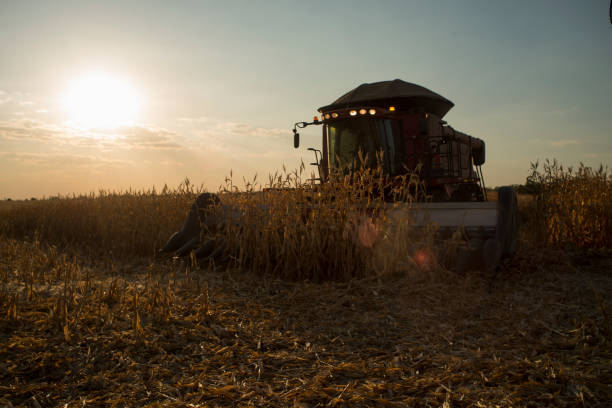 istock Agricultural harvester against light 1992665441