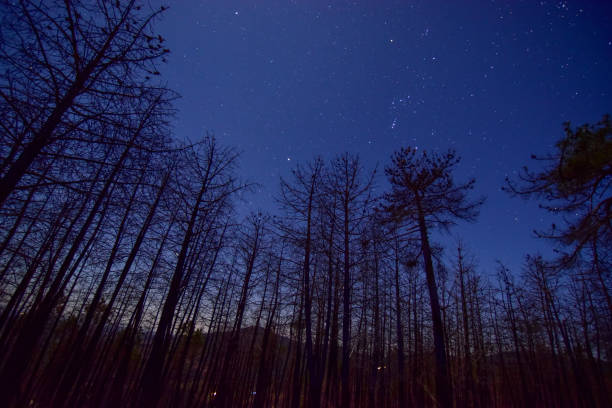 night photography in Extremadura