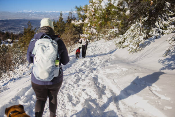istock Women going on a hike in the snow 1992735068