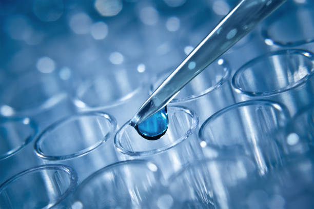 istock Macro shot of dozator tip and plastic plate for immunosorbent assay 1992778642
