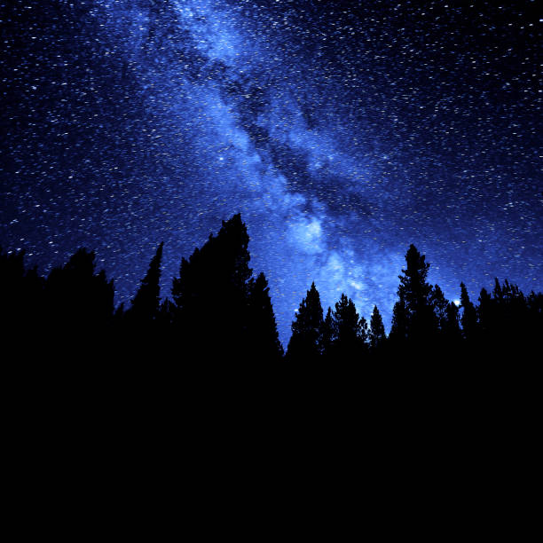 istock Milky Way Sky Forest at Night Time Stars 1992808382