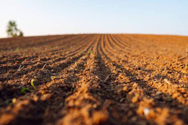 播種前に畑を耕しました。 - plowed field dirt agriculture field ストックフォトと画像