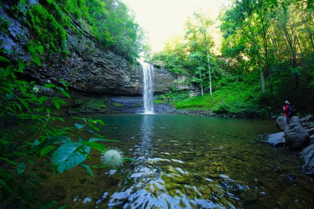 istock Chereokee Falls at Cloudland Canyon Stste Park Georgia 1992829724