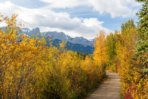 Spring Creek, Policeman Creek Boardwalk Trail in fall season. Canmore, AB, Canada.