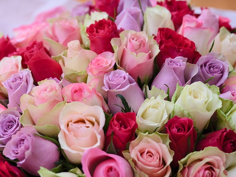 A large beautiful bouquet of coloured roses.