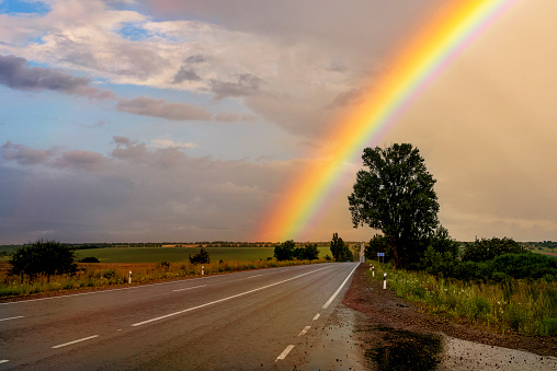 Rainbow landscape with trees and cereals field