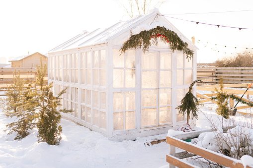 Beautiful summer house or greenhouse snow-covered, windows frozen and covered in natural patterns on background of sunlight during cozy winter day, no people. Concept of happy wintertime.