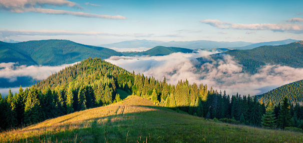 Bright summer morning in the Carpathian mountains. Picturesque outdoor scene on the mountain valley in June, Ukraine, Tatariv village location, Europe. Artistic style post processed photo.
