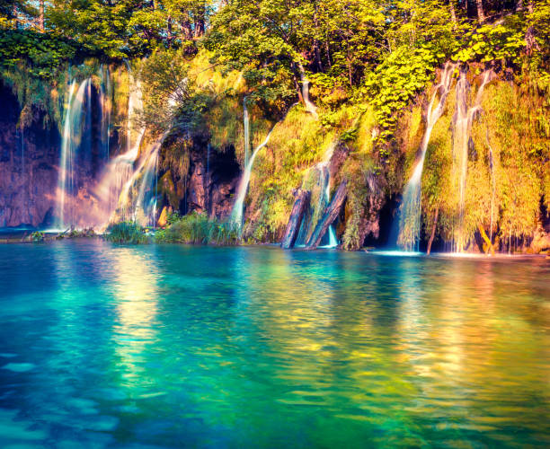 istock Sunny summer scene in Plitvice Lakes National Park 1992928540