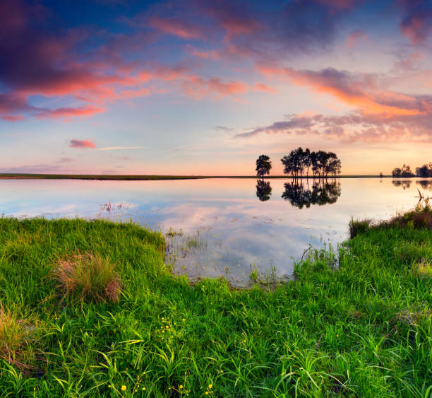 istock Colorful summer sunrise on the small pond. 1992928562