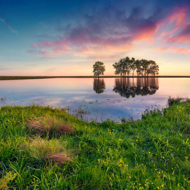 Amazing summer sunrise on the small pond. Colorful morning scene in the countryside. Artistic style post processed photo. Beauty of nature concept background.