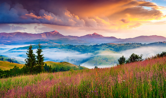 Foggy summer sunrise in the Carpathian mountains. Colorful morning scene in the mountain valley. Beauty of nature concept background. Artistic style post processed photo.