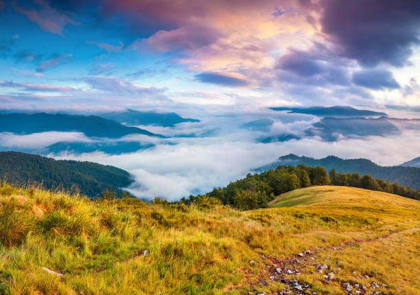 istock Foggy summer landscape in the Carpathians 1992929141