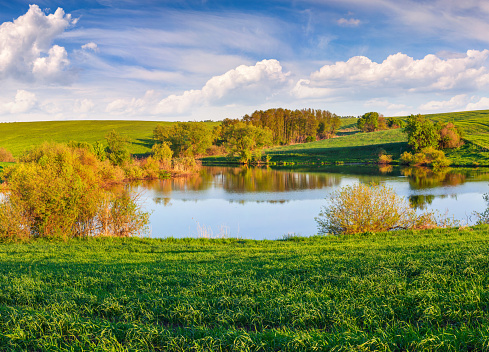 Sunny spring scene on the small pond. Beautiful outdoor view of the countryside. Artistic style post processed photo. Beauty of nature concept background.