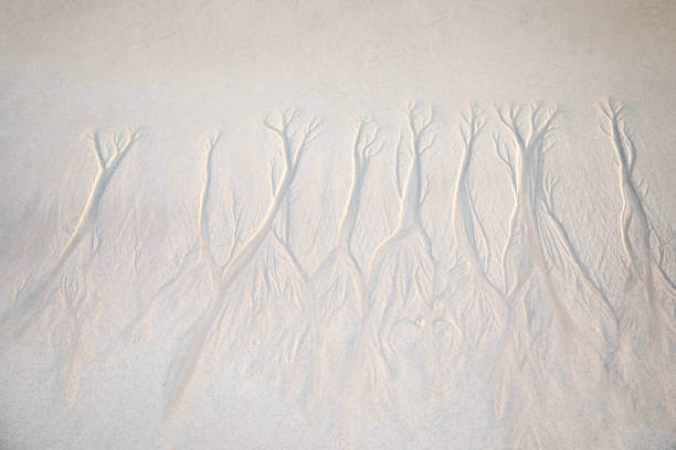 Beautiful Wavy Sand texture beach for background, Top view. for summer designs, copy past. Nature background concept